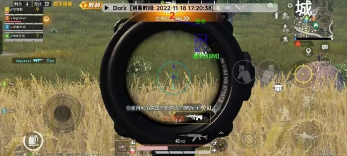和平精英ios绿色辅助（和平精英iOS绿色辅助的主要功能有哪些？）